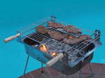 Carri Braai